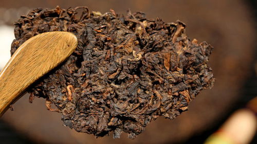 品味时光的醇香 茂连古树七子饼普洱茶