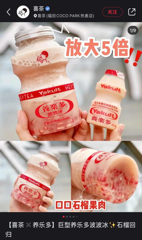 锦旗生物发布“三次元”益生菌 功能性茶饮赛道的破局新变量